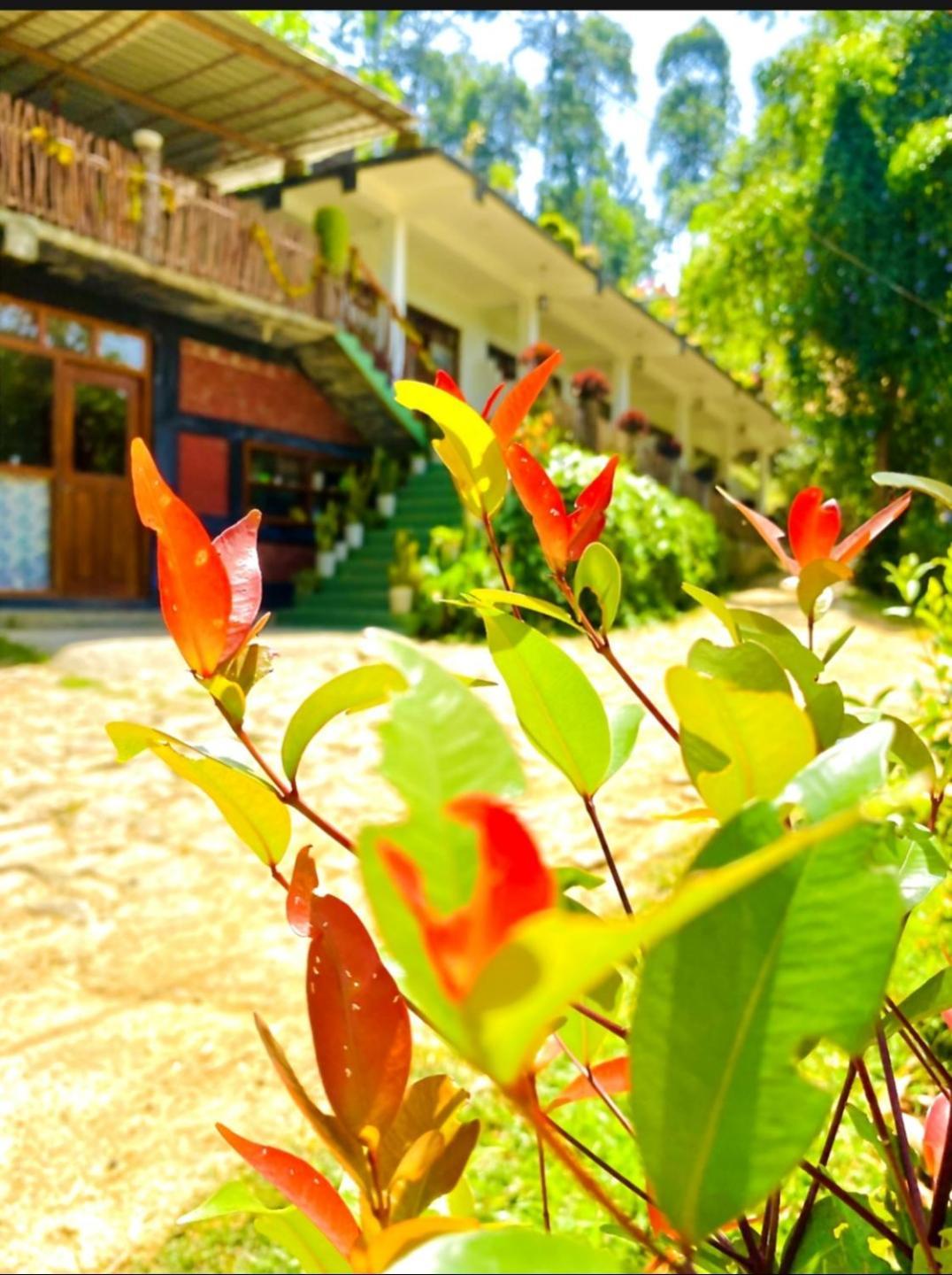 Blissful Haven Hotel Ella Bagian luar foto