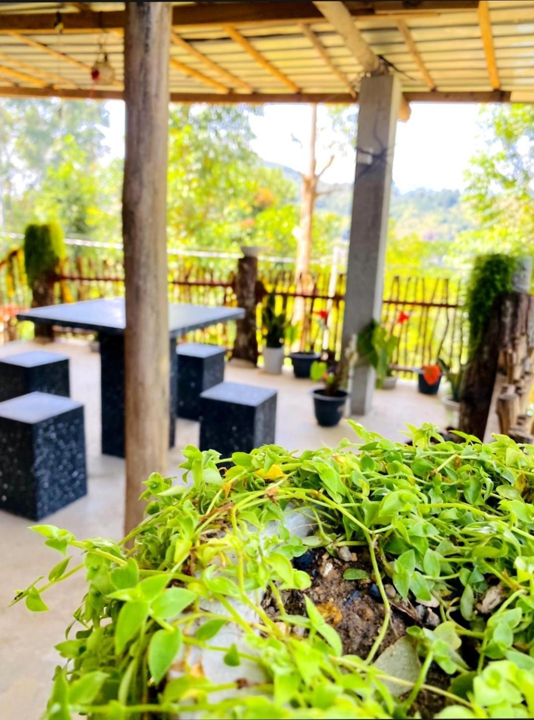 Blissful Haven Hotel Ella Bagian luar foto