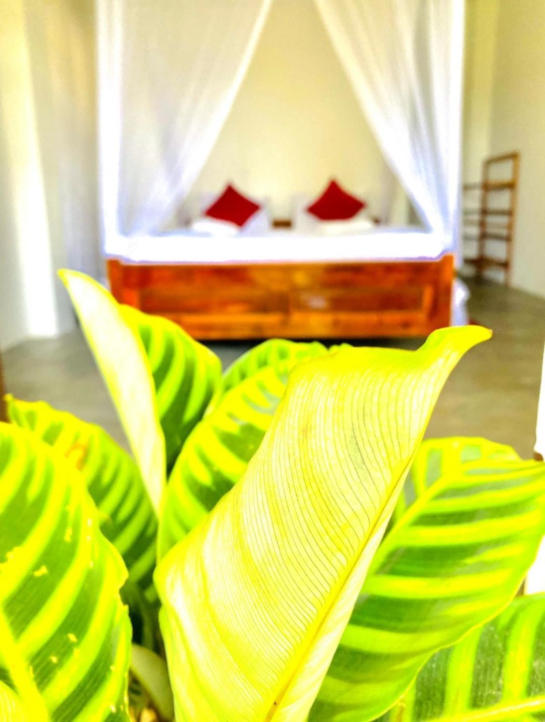 Blissful Haven Hotel Ella Bagian luar foto